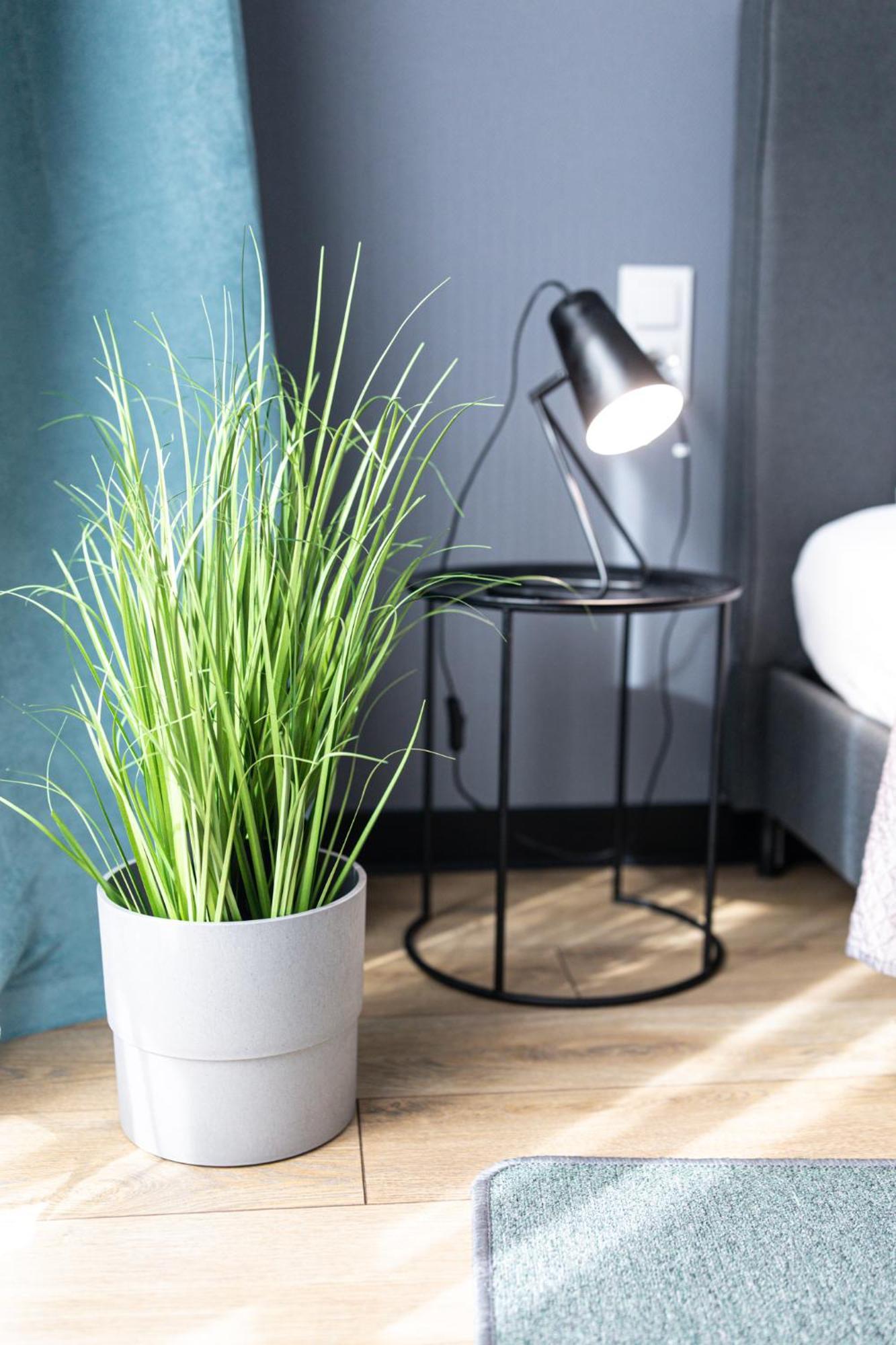 Lm Apartamenty Narutowicza Kamienica Nova 2-3 Štetín Exteriér fotografie